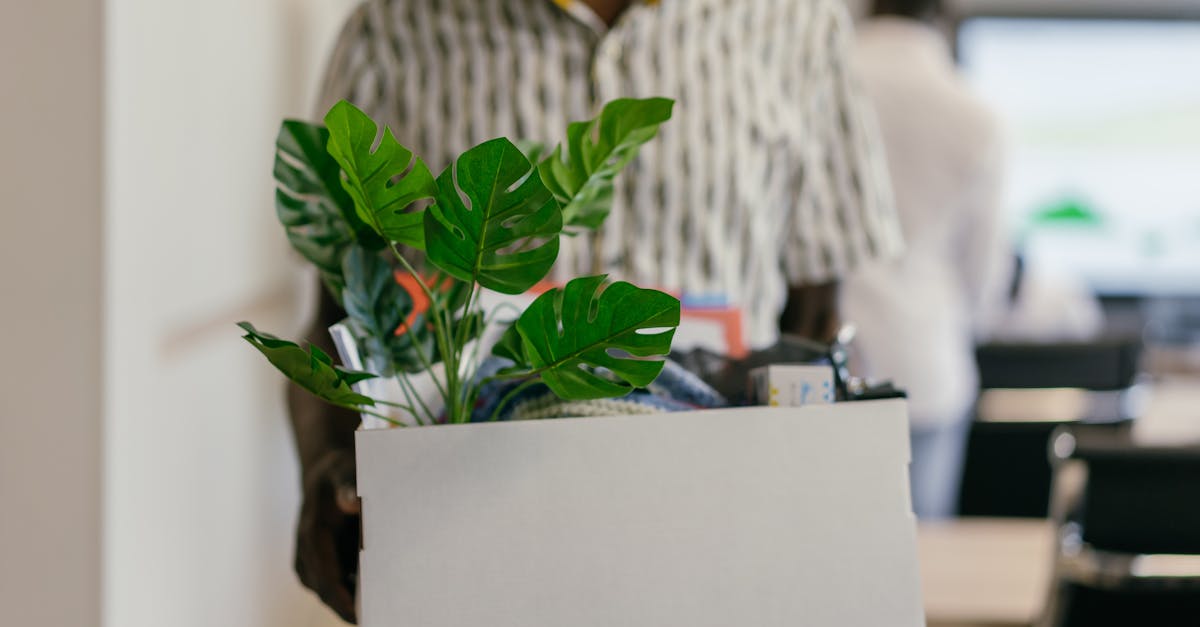 découvrez les raisons courantes pour lesquelles les employés quittent leur emploi. analysez les facteurs clés tels que l'insatisfaction au travail, les opportunités de carrière et l'équilibre entre vie professionnelle et vie personnelle. cette réflexion peut aider les entreprises à améliorer la rétention et à créer un environnement de travail plus favorable.